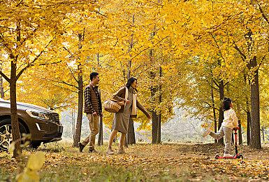 KK官方对战平台新图推荐！搭配制胜，爆爽割草！