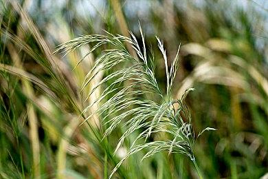 《辐射76》女性角色内衣肩带破坏美感？玩家呼吁移除